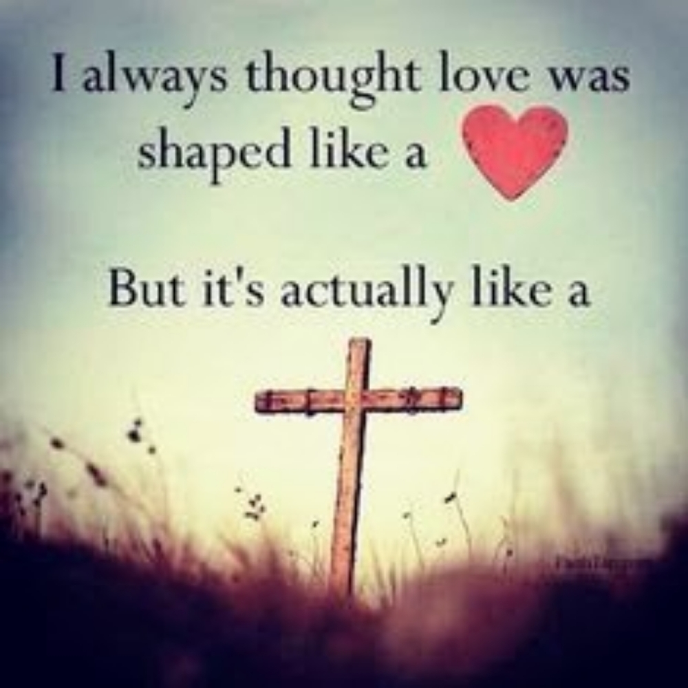 🌻D - Picture 2 of 2